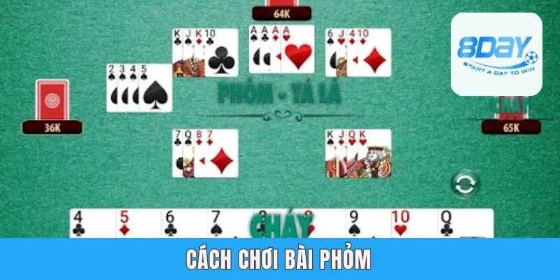 Cách Chơi Bài Phỏm Đơn Giản Từ A Đến Z Cùng Chuyên Gia 8day
