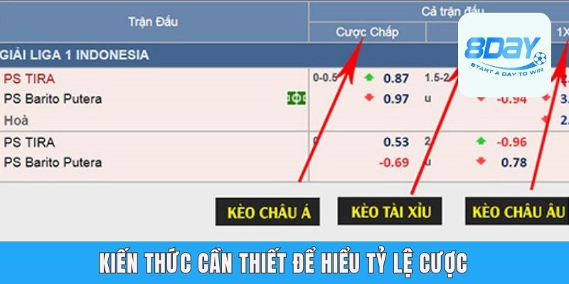 Kiến thức cần thiết để hiểu tỷ lệ cược