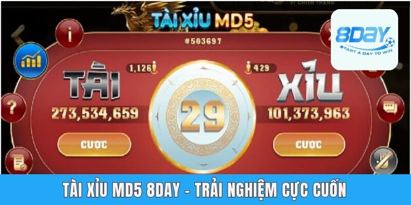 Tài Xỉu MD5 8day - Tham Gia Giải Trí,  Lụm Ngay Tiền Tỷ