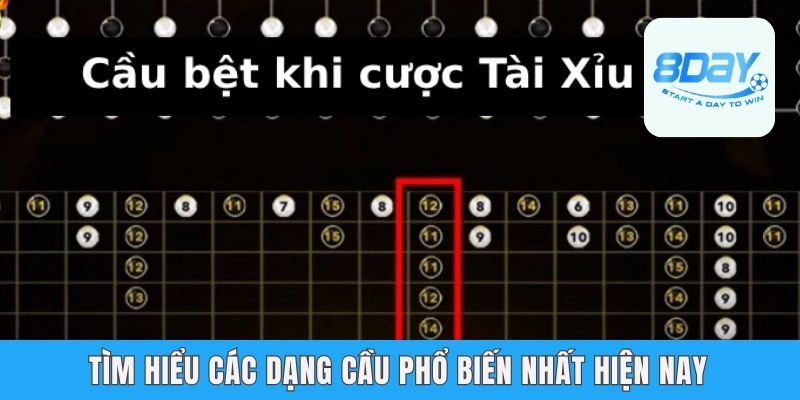 Tìm hiểu các dạng cầu phổ biến nhất hiện nay
