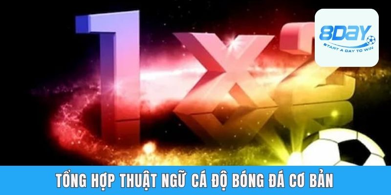 Tổng hợp thuật ngữ cá độ bóng đá cơ bản